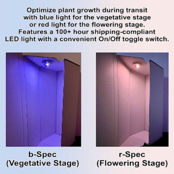Glo-Box 10-Pack, (15-inch / 20-inch) - Image 3
